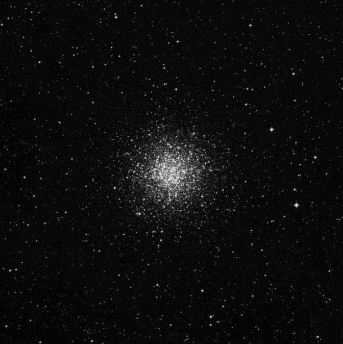 M55 M55