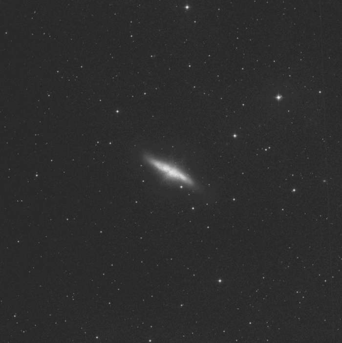 M82 M82