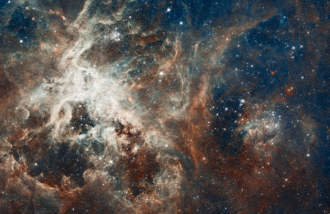 Click en la imagen para verla más grande La Formación Estelar en la Nebulosa de la Tarántula