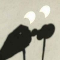 Los prismáticos o binoculares