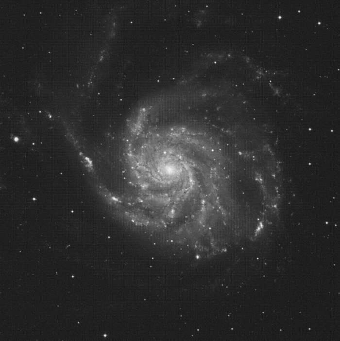 M101 M101