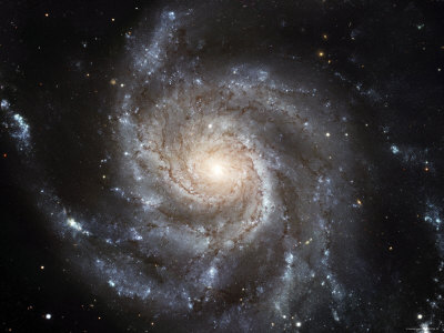 M101 M101