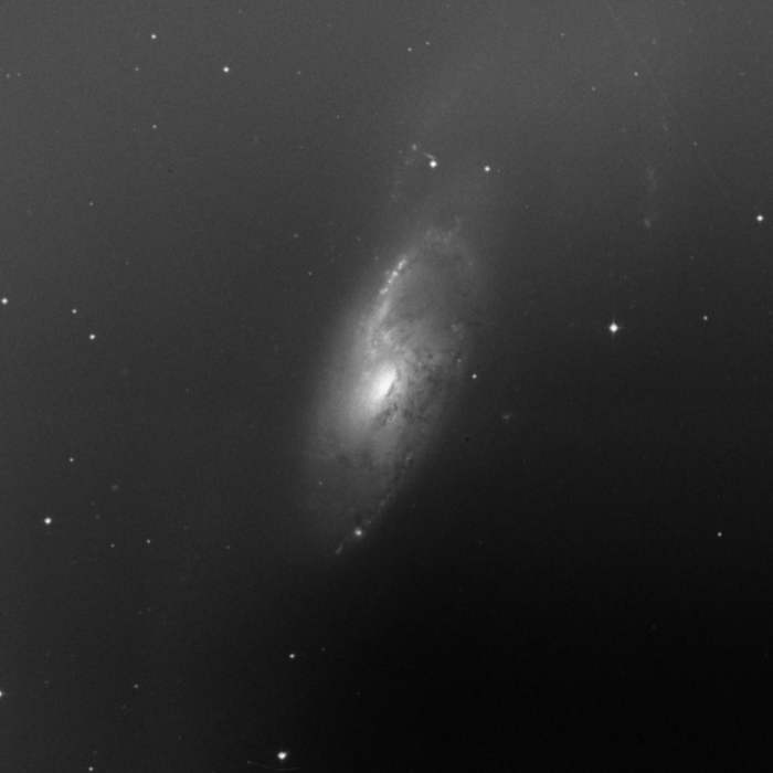 M106 M106