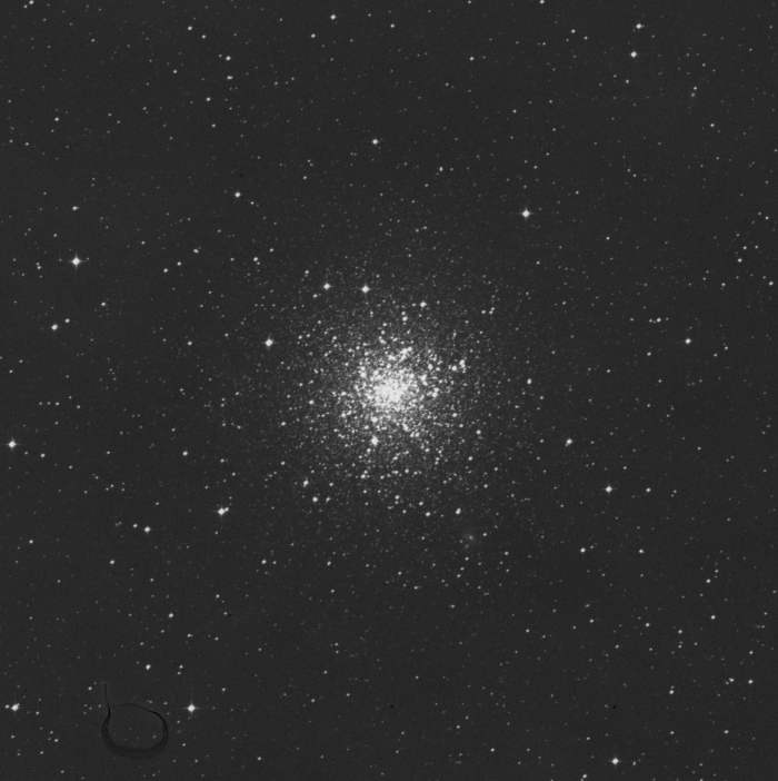 M12 M12