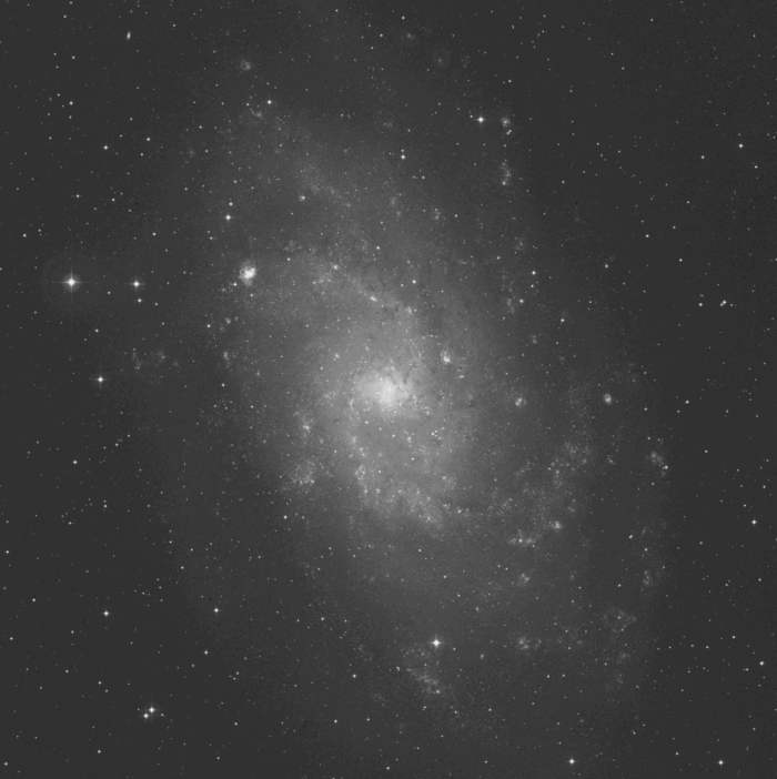 M33 M33