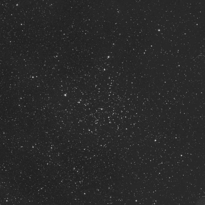 M38 M38