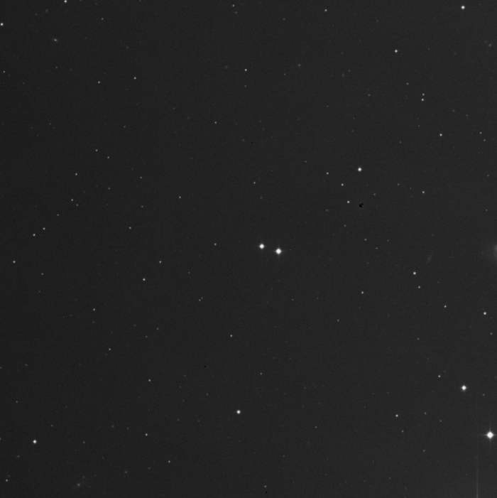 M40 M40