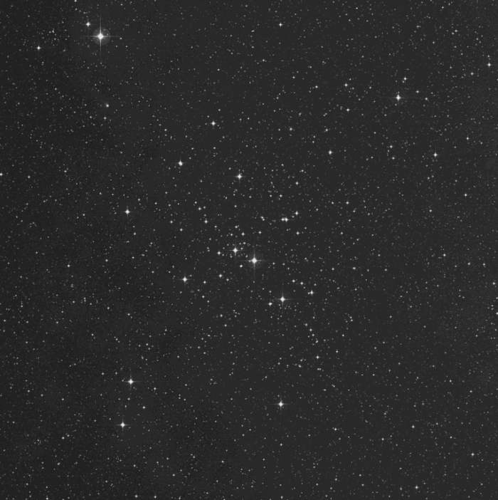 M41 M41