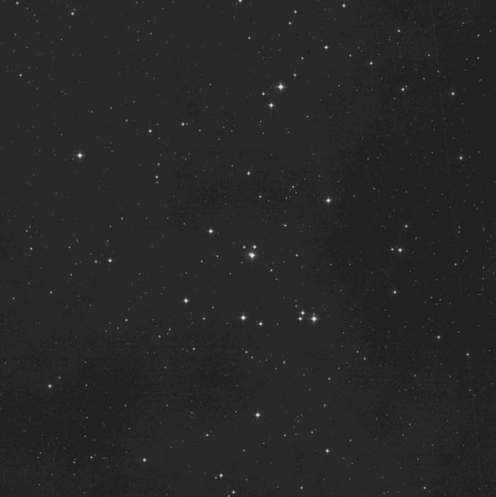 M44 M44