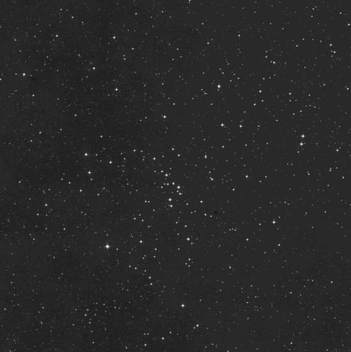 M48 M48