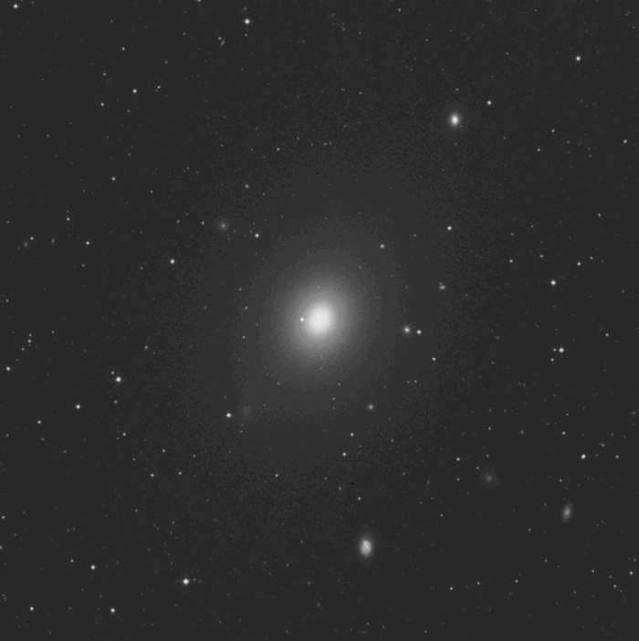 M49 M49