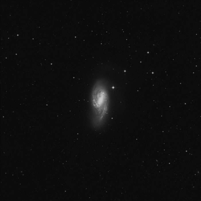 M66 M66