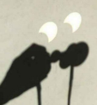 Eclipse de Sol por proyección con prismáticos. Eclipse de Sol por proyección con prismáticos.