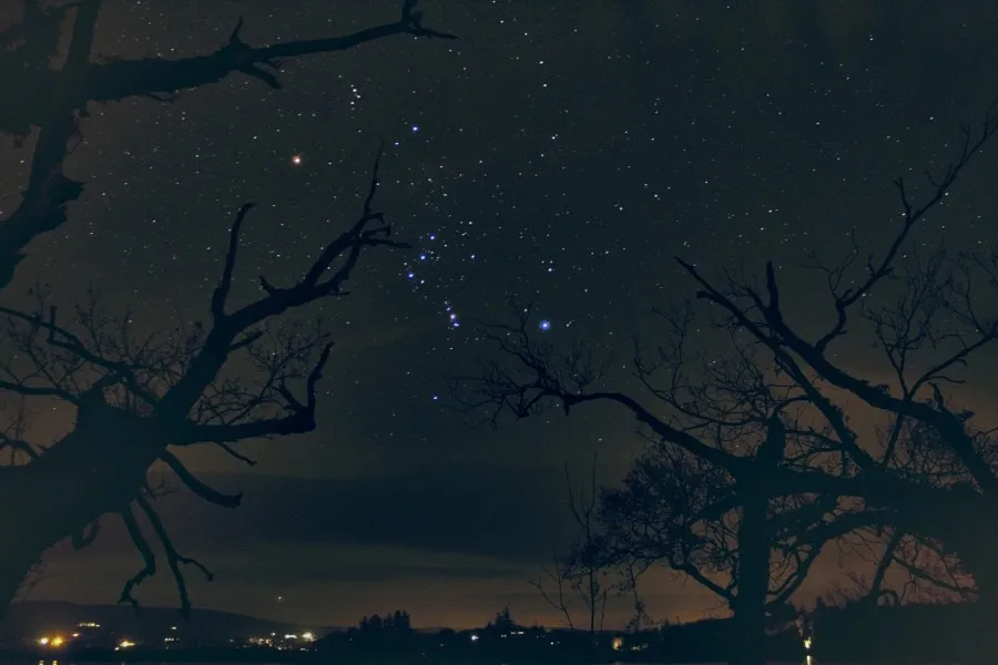 Las Estrellas del Cazador