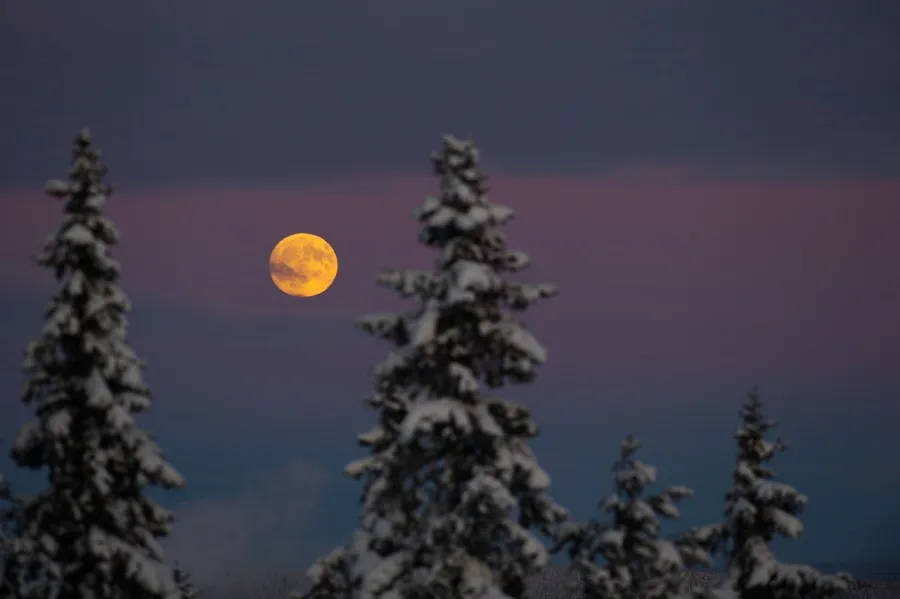 La Luna del Lobo