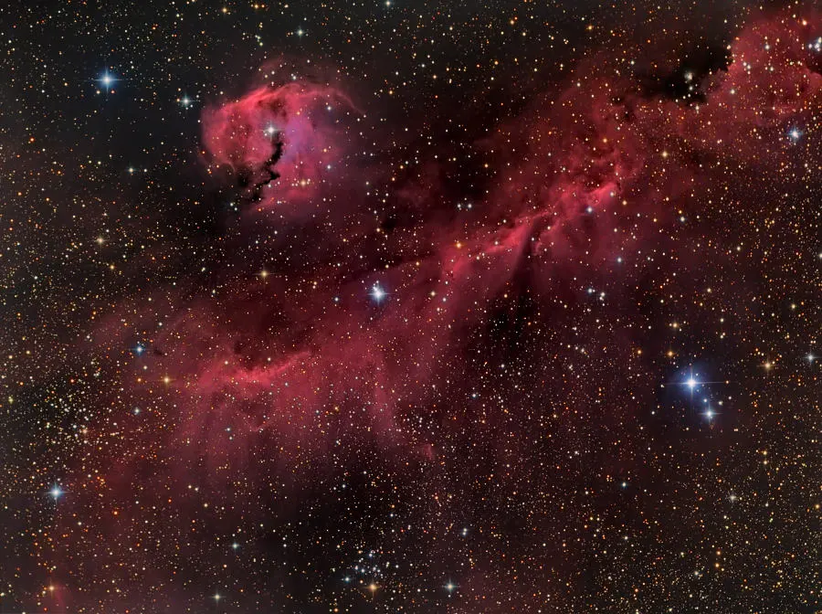 IC-2177 & NGC 2327: La Nebulosa Gaviota