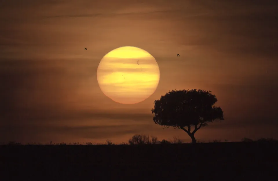 El Grupo de Manchas Solares y el Lejano Sol