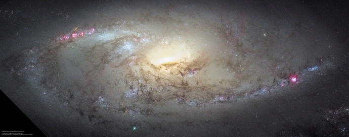 Retrato de Messier 106