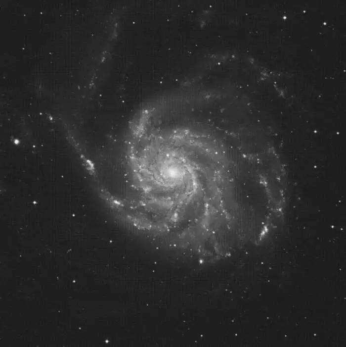 M101