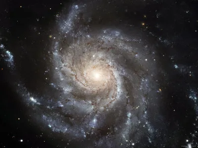 M101