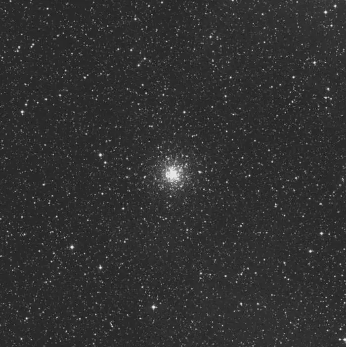 M56