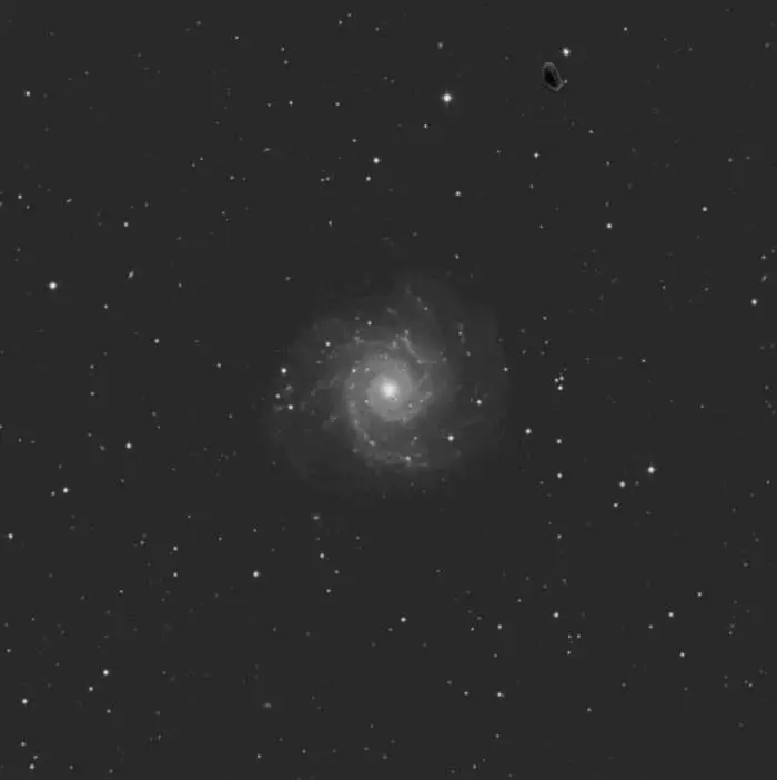 M74