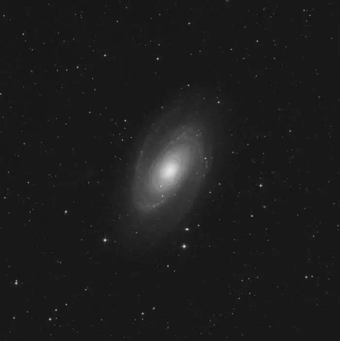 M81