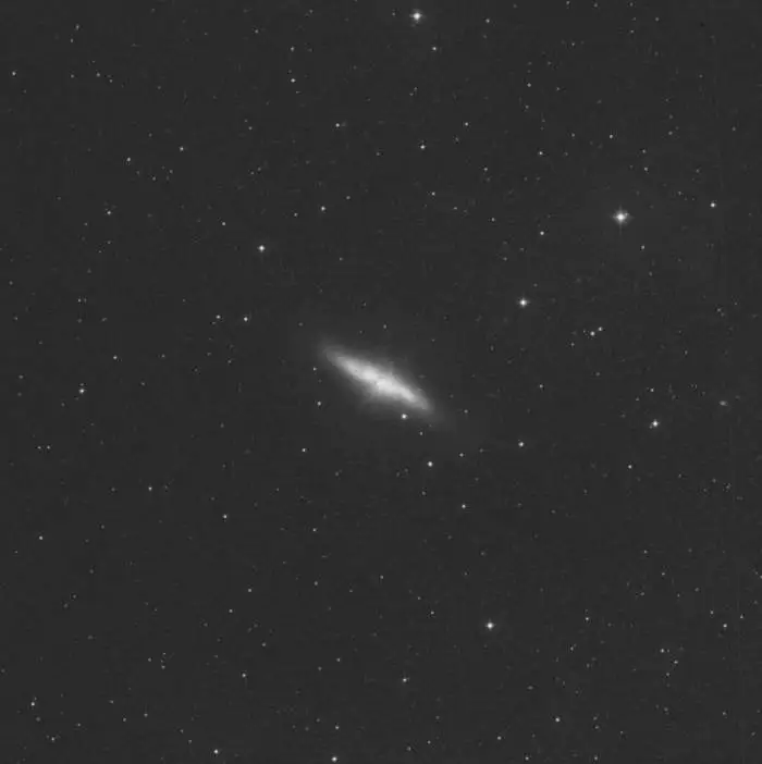 M82