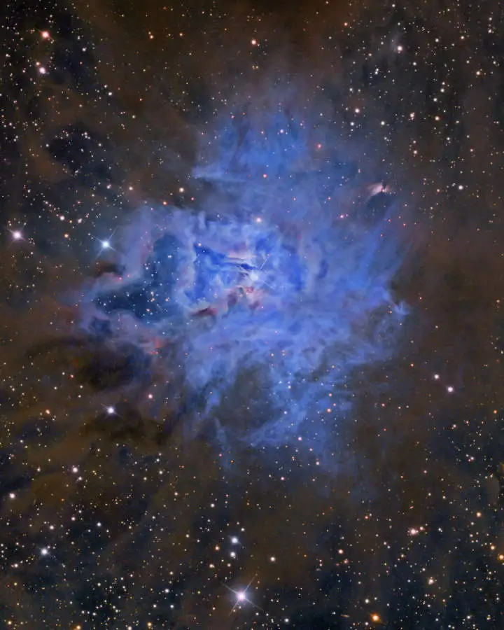 NGC 7023, la Nebulosa Iris