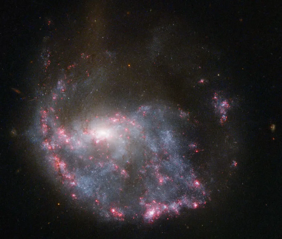 NGC 922, Una Galaxia Anular Colisional