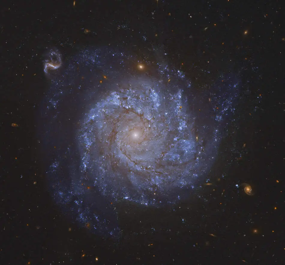 NGC 1309, una Galaxia Espiral y Amigas