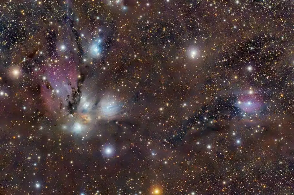 NGC 2170, un Bodegón Celeste