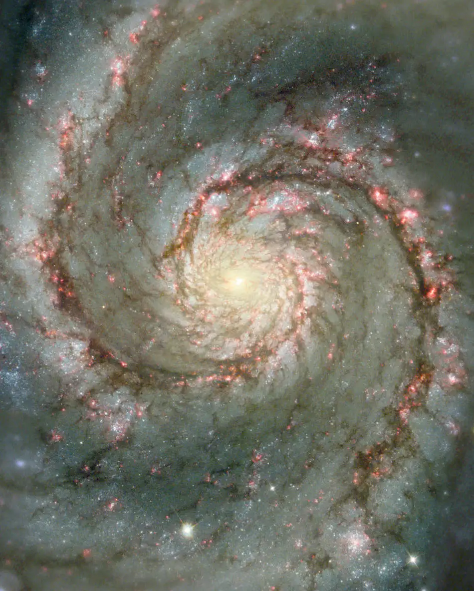 AM51: La Galaxia del Remolino en Polvo y Estrellas
