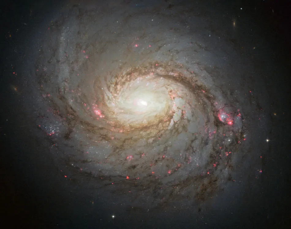 10 de mayo de 2013: Messier 77, alias NGC 1068