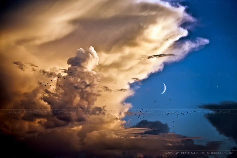 12 de mayo de 2013: Nubes, Aves, La Luna, Venus