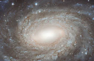 NGC 6384, una Espiral más allá de las Estrellas